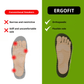 ErgoFit Active - Suporte ideal, conforto total